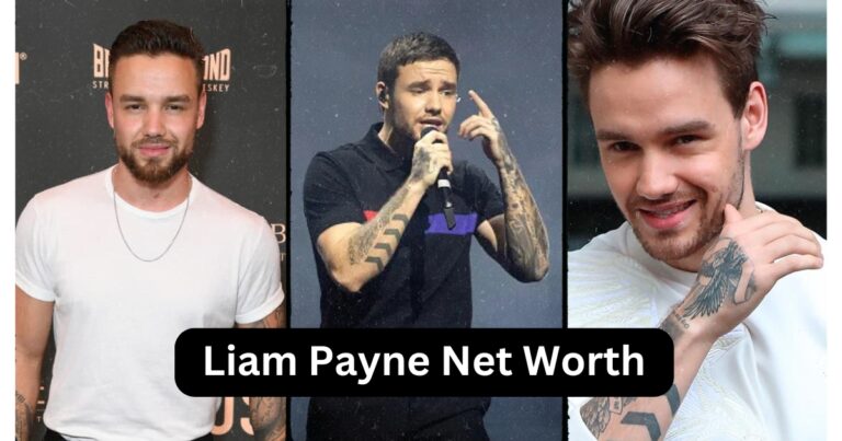 Liam Payne Net Worth