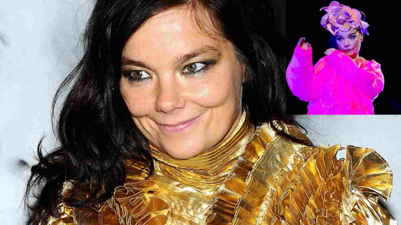 bjork house