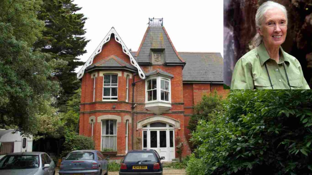 jane goodall house