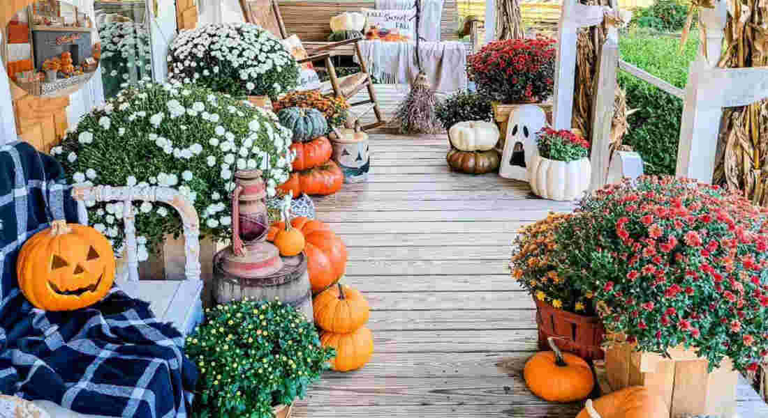 when should fall decorations be put out
