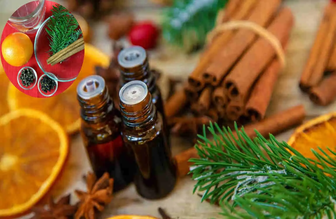 how to make house smell like cinnamon