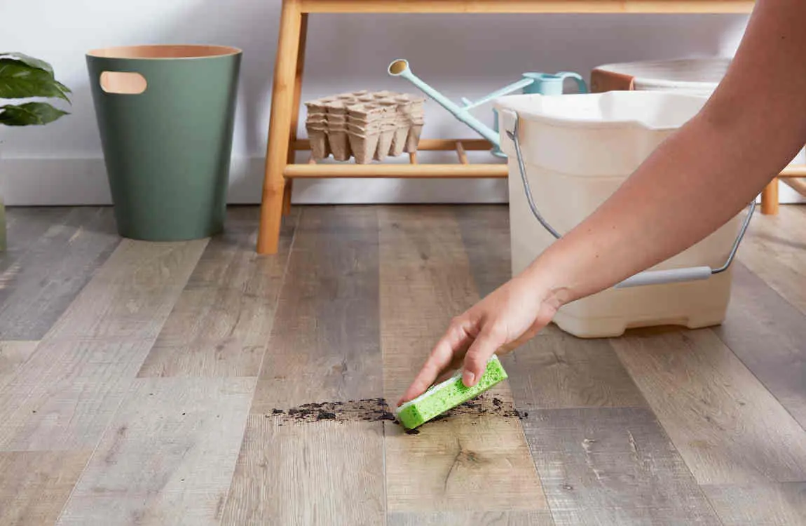 Can Bed Bugs Live in Laminate Flooring? House Cleaning Tips to Check & Eliminate Them Fast