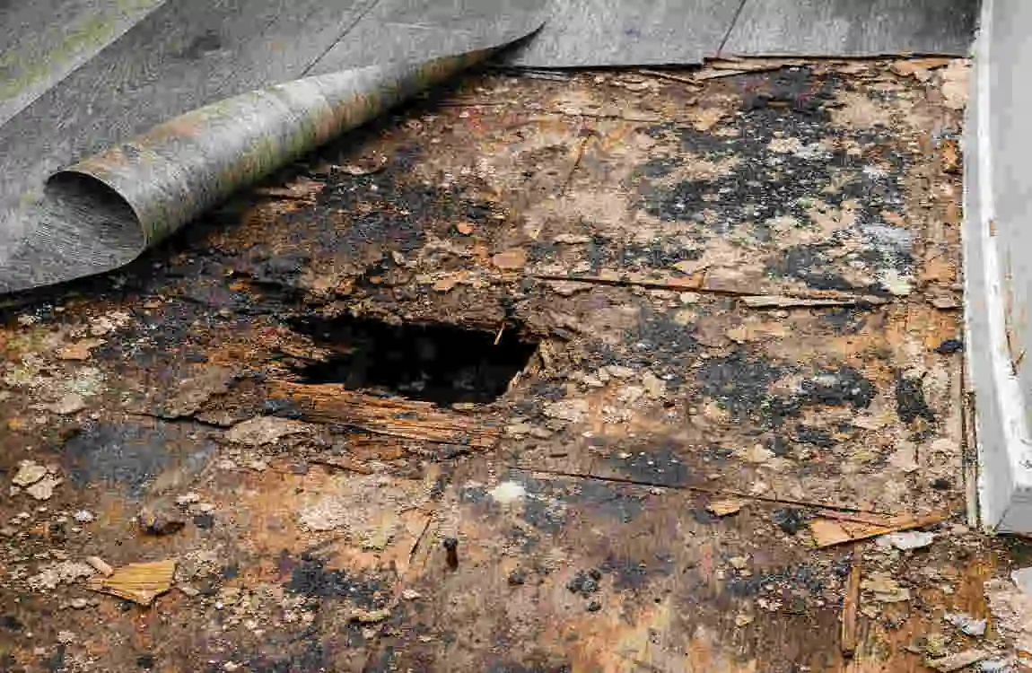 What Is Under Vinyl Flooring?