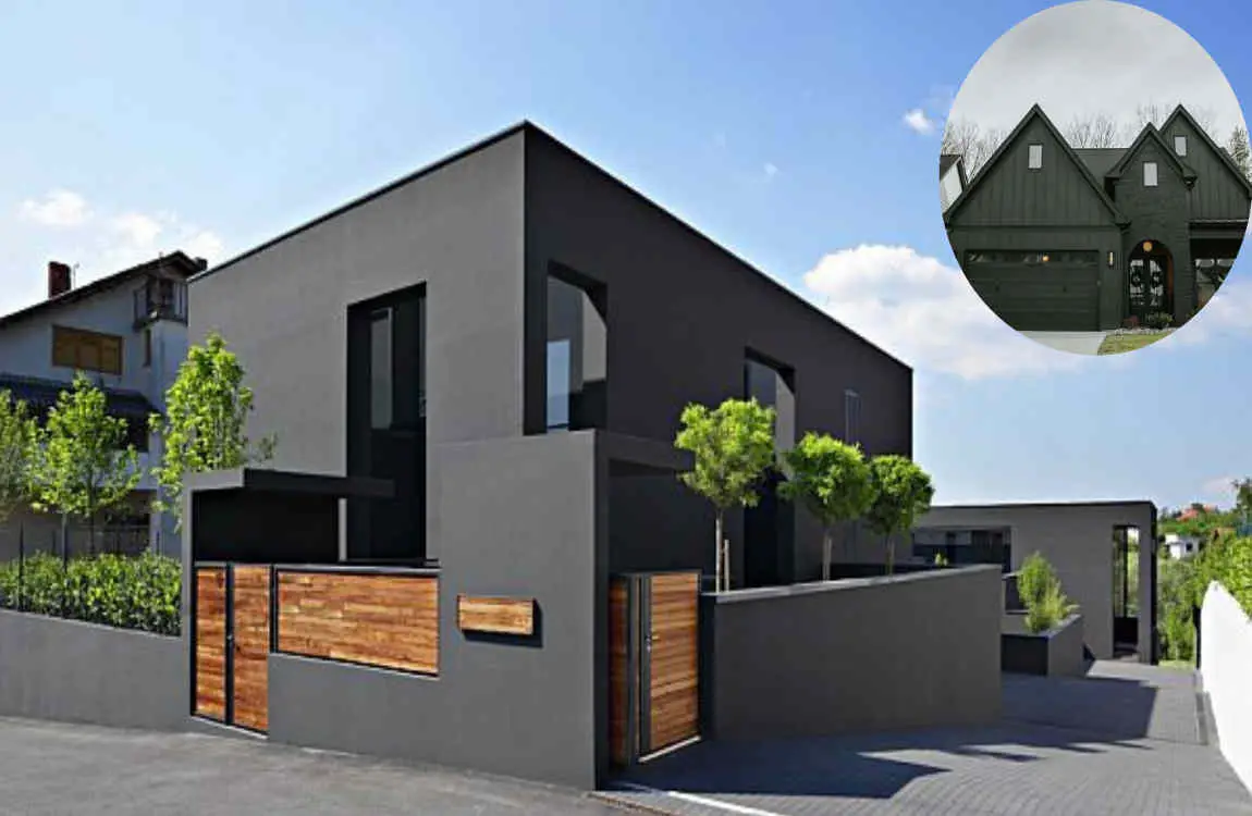 Modern Black Home: